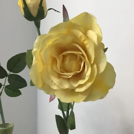Lägenhet Goldengreen *