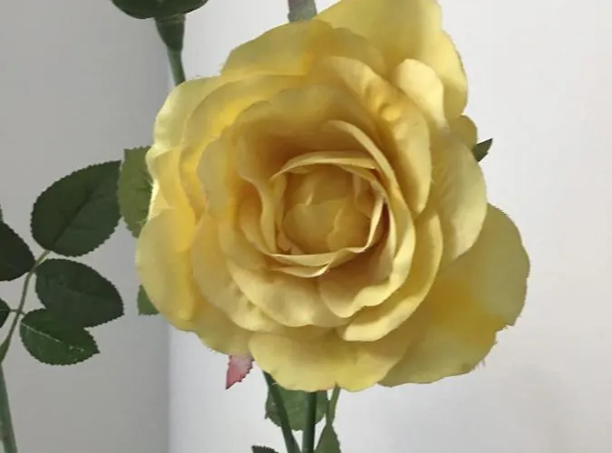 شقة Goldengreen *