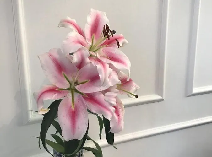 Apartament Goldengreen